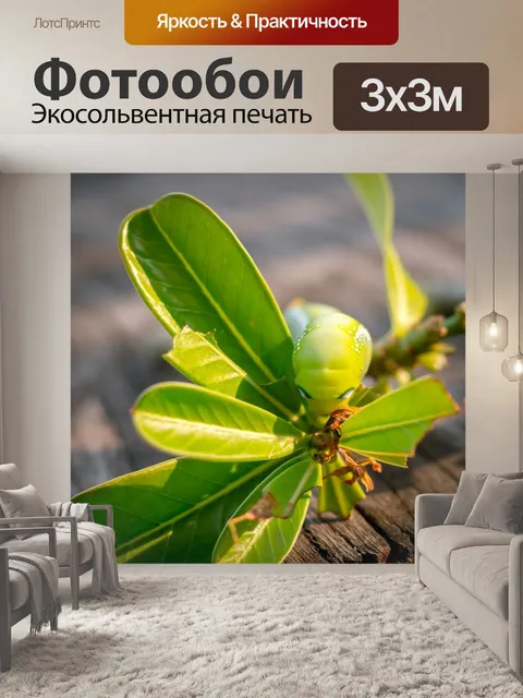 Фотообои Черви