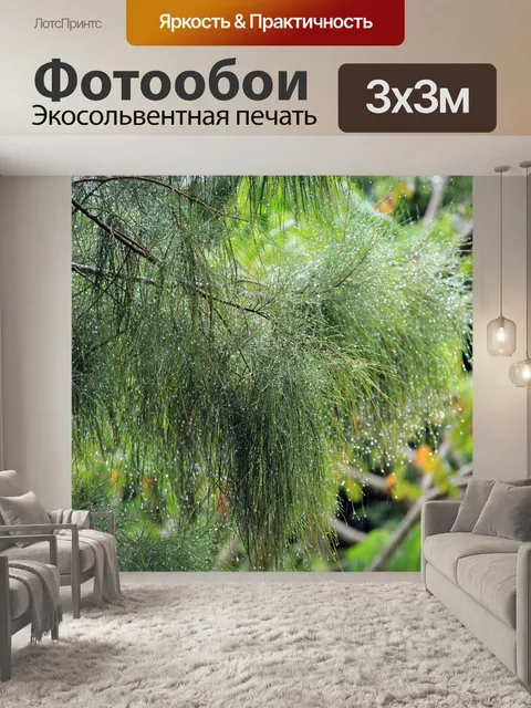 Фотообои Капли дождя на сосне