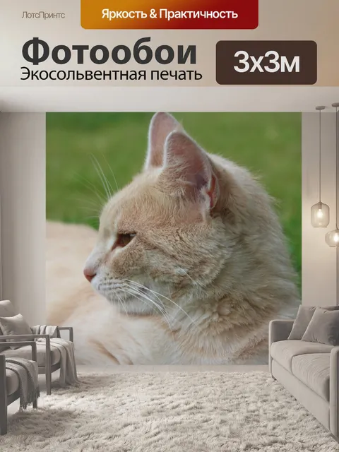 Фотообои Природа
