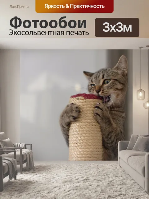 Фотообои Игра в кошки