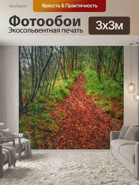 Фотообои Лесная тропа тропинка осенний лес