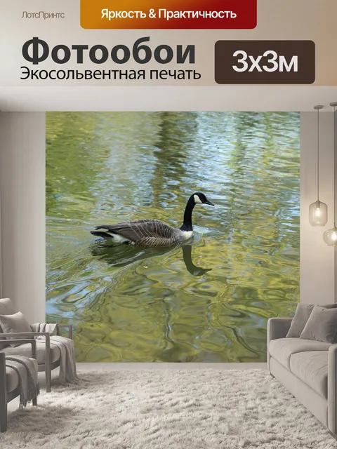 Фотообои Водоем