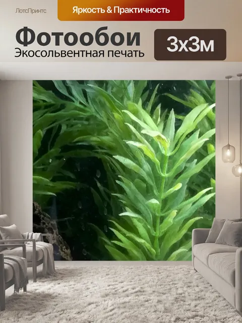 Фотообои Аквариум Живописный