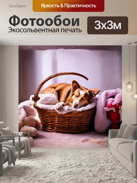 Фотообои шелти, собака, мирно спящая в уютной корзине, окружена игрушками и мягкими пледами