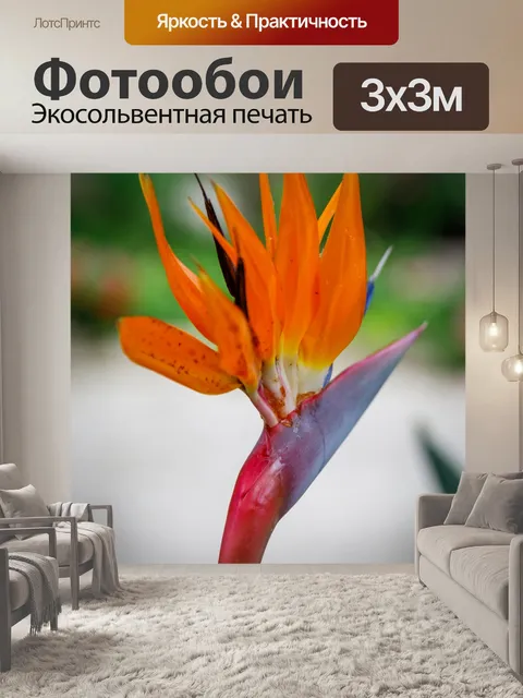 Фотообои Цветок райской птицы