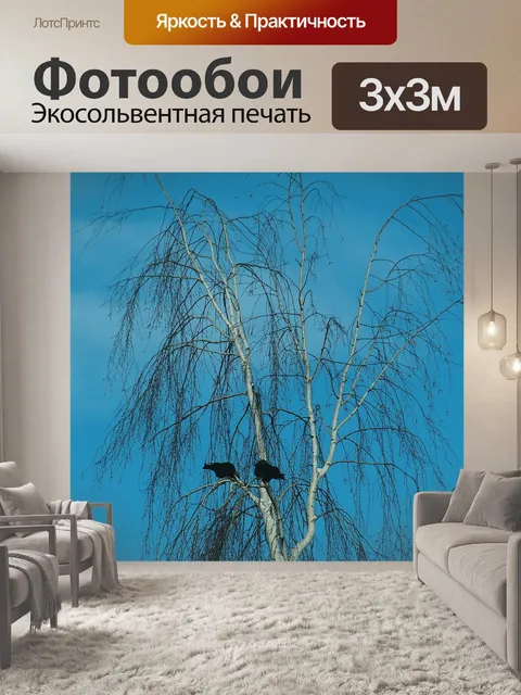 Фотообои Берёза