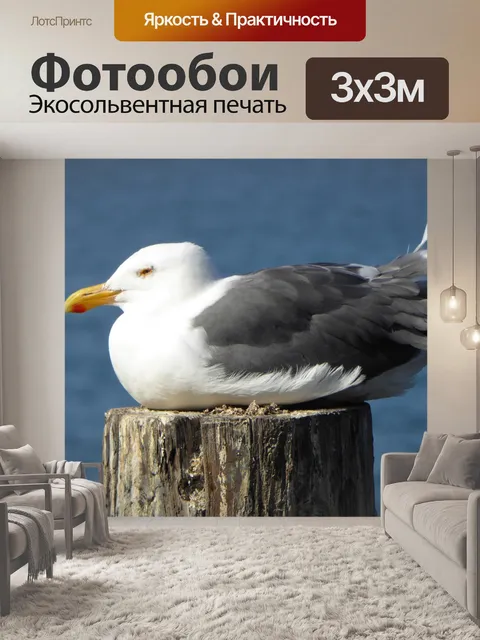 Фотообои Seagul на пирсе сообщению