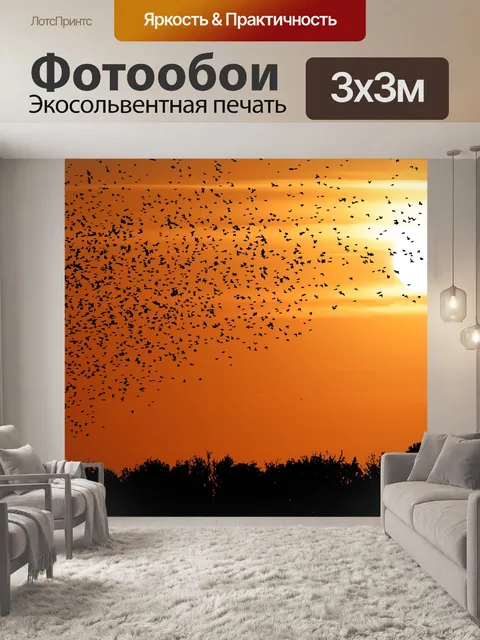 Фотообои Закат Птицы Летающие Силуэт