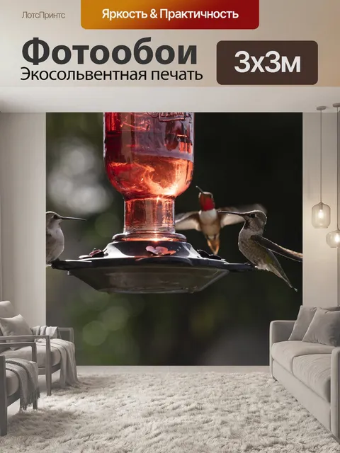 Фотообои Трое друзей за ужином