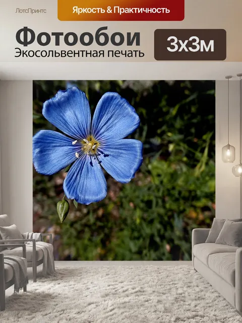 Фотообои Цветы