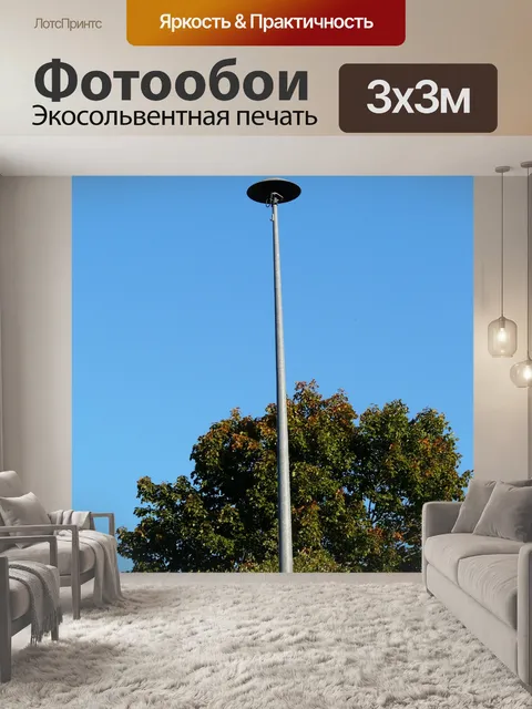 Фотообои Сирена