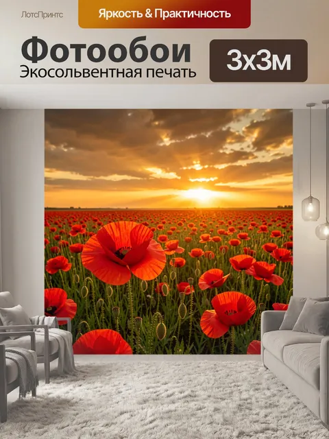 Фотообои Поле маков на закате