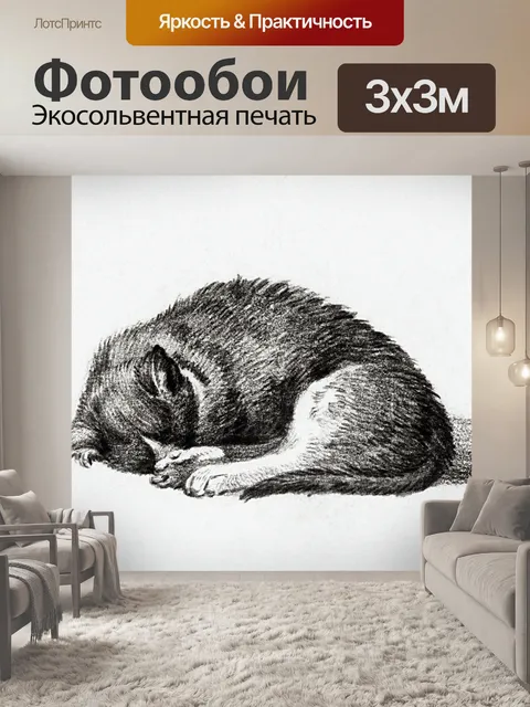 Фотообои Искусство рисования спящего кота