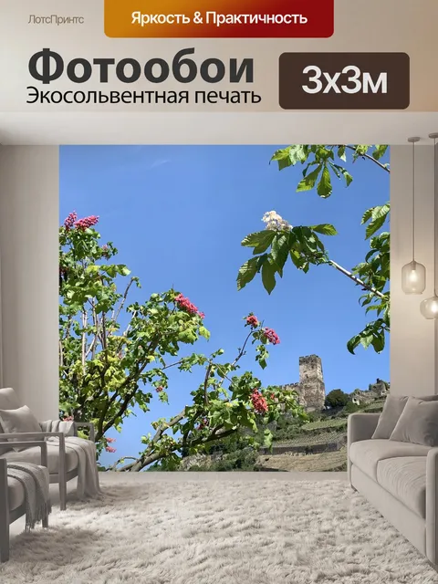 Фотообои Рейн