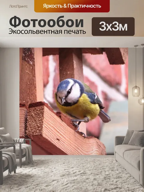 Фотообои Птицы