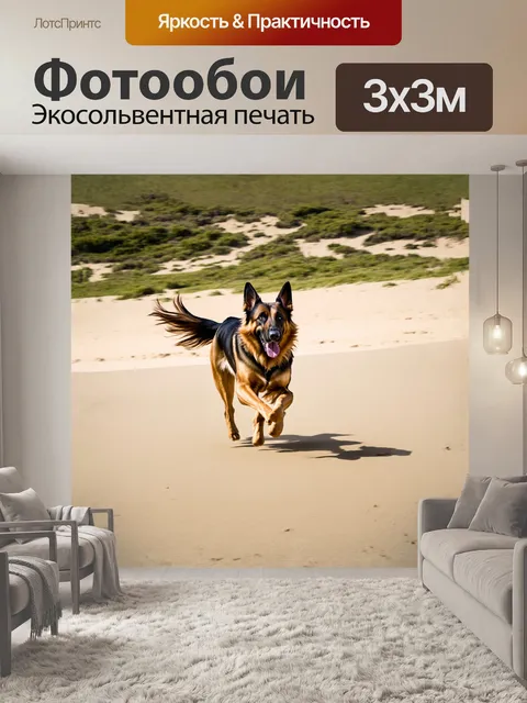 Фотообои длинношерстная немецкая овчарка