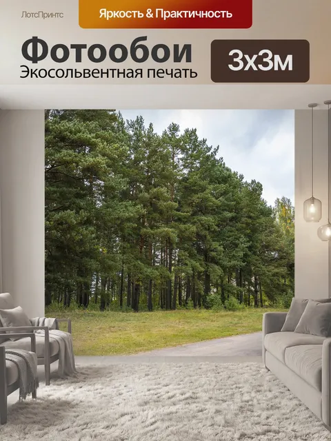 Фотообои Сосновый лес