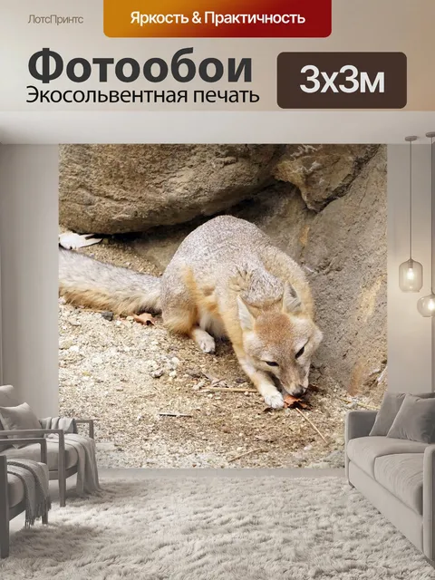 Фотообои Лисица