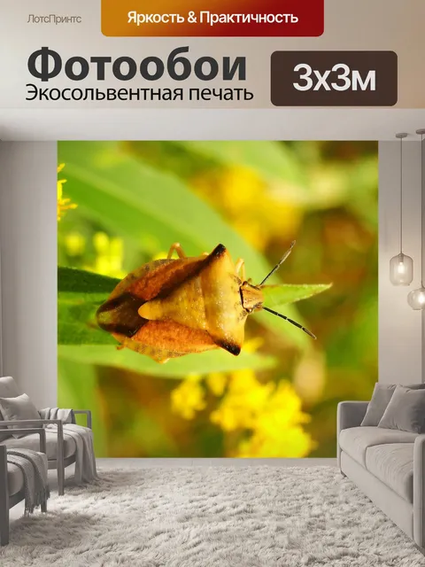 Фотообои Borczyniec фруктовый