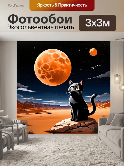 Фотообои Черный кот сидит на скале