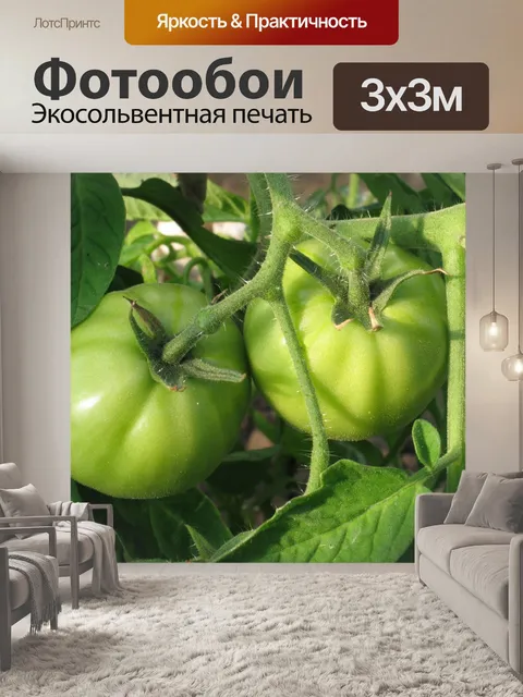 Фотообои Зеленые помидоры