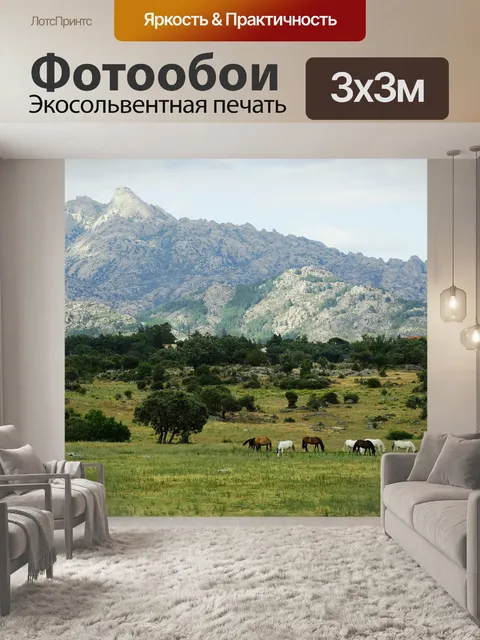 Фотообои Шлем