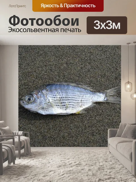 Фотообои Рыбы