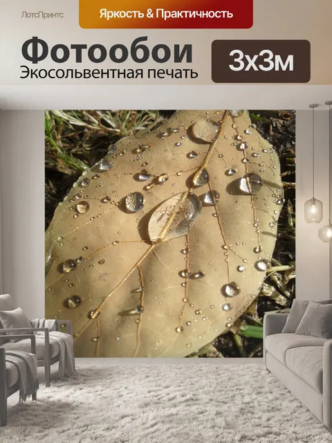 Фотообои Лист
