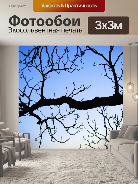 Фотообои Темные ветви на фоне неба
