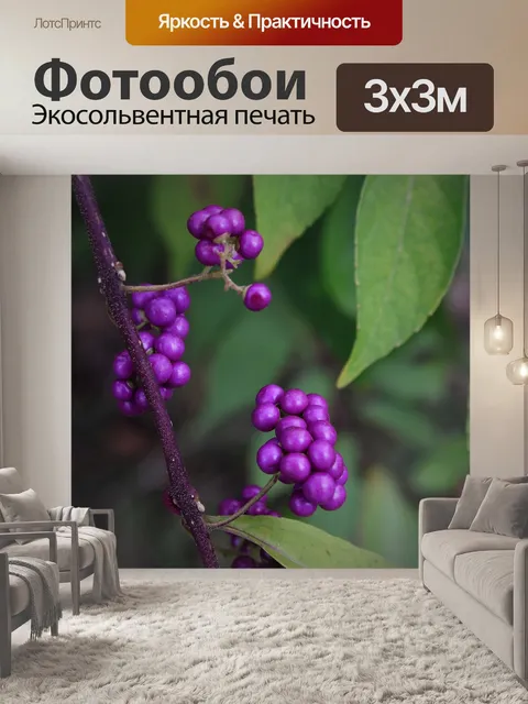 Фотообои Ягодка