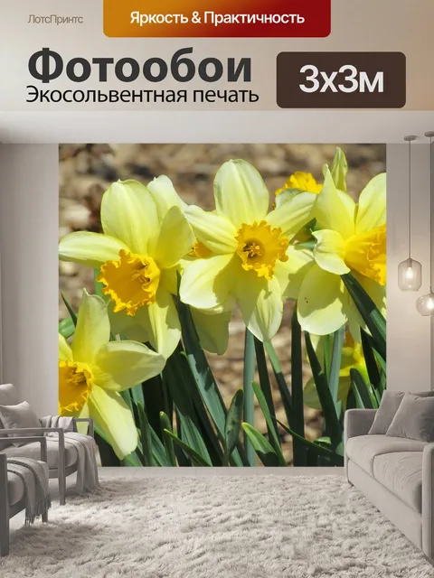 Фотообои Весенние нарциссы