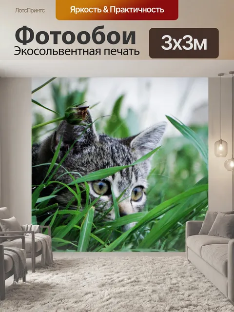 Фотообои Кошка