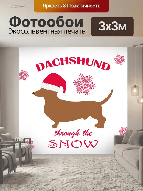 Фотообои Новогодняя шапка для собак такса