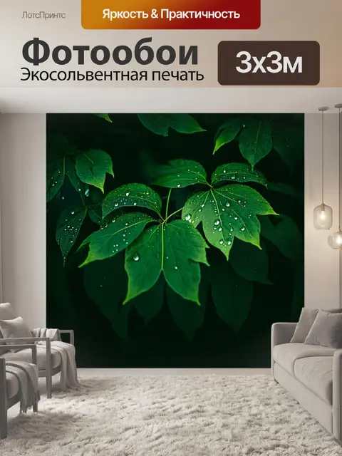 Фотообои Листья темно-зеленого цвета с каплями воды на поверхности
