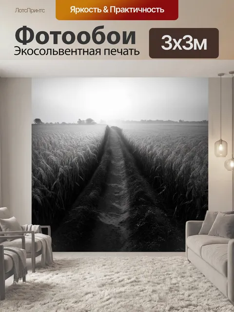Фотообои узкая дорожка между рисовыми полями в джатилувих, с горизонтом, уходящим в туман