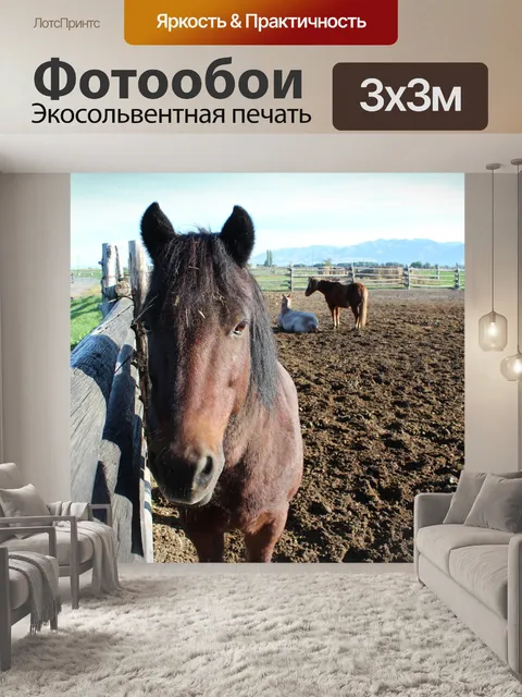 Фотообои Лошадь