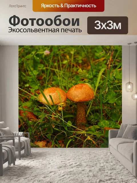 Фотообои Грибы