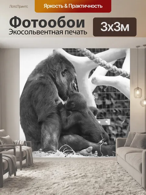 Фотообои Горилла