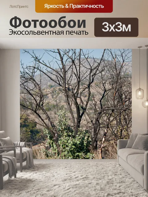 Фотообои мертвое дерево с молодыми зелеными побег