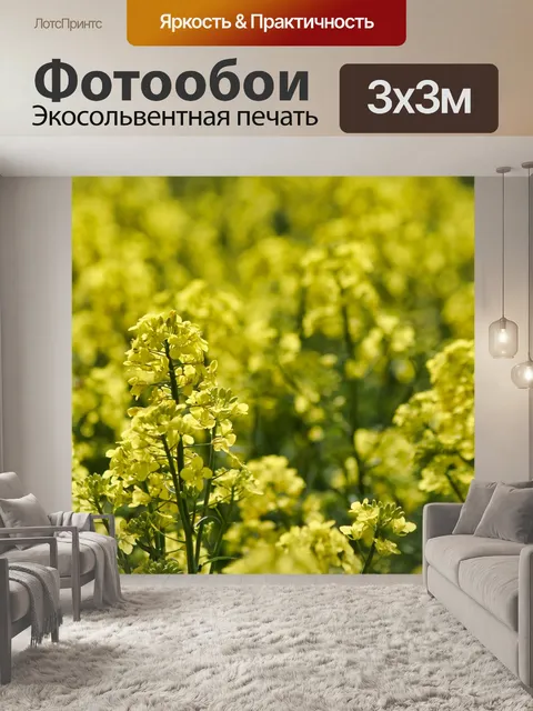 Фотообои Поле рапса