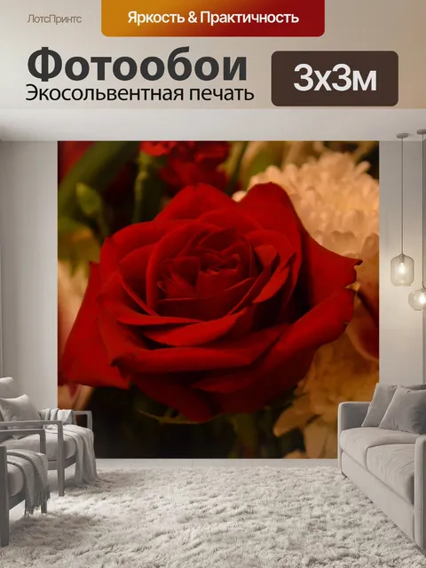 Фотообои Роза