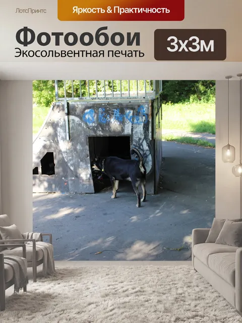 Фотообои Детская площадка