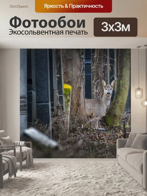 Фотообои Олень