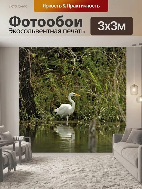 Фотообои Большая белая цапля в пруду