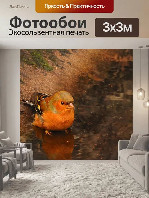 Фотообои Птица