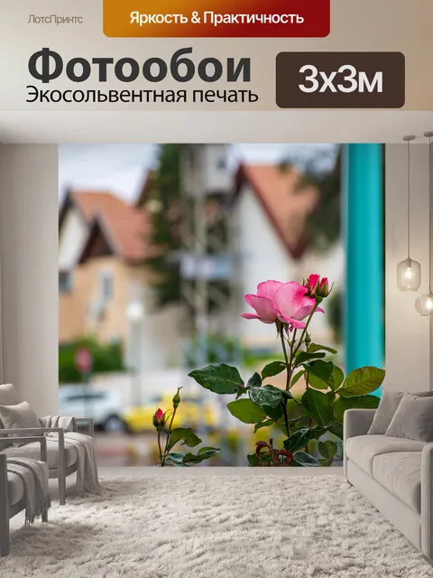 Фотообои Роза