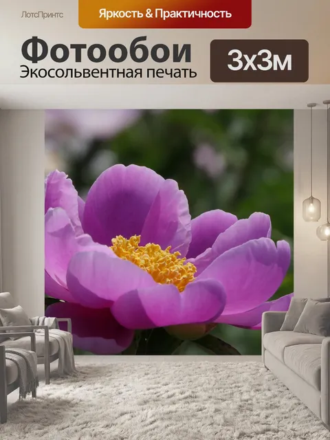 Фотообои Пион
