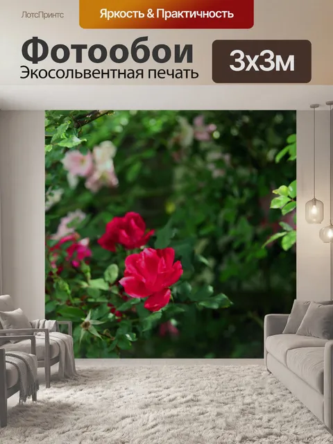 Фотообои Дикие пурпурный розовый куст