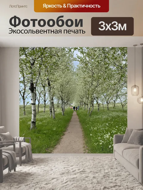 Фотообои весна, березовая роща с новыми зелеными листочками, легкое облачное небо, красавицы-цветы, расцветающие…