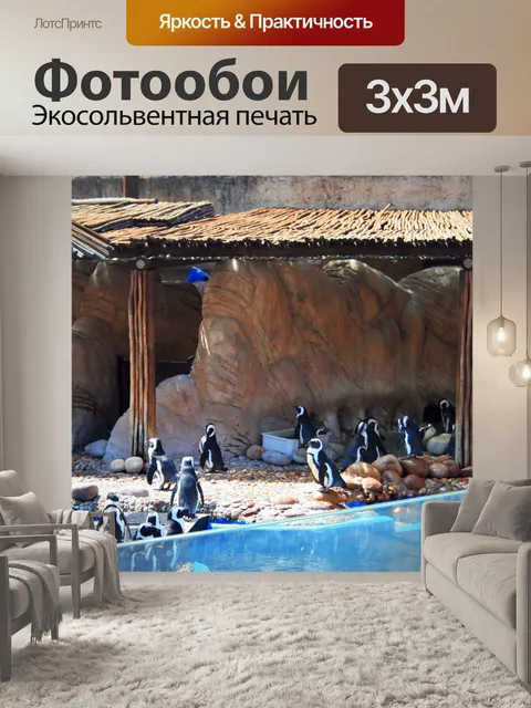 Фотообои Пингвины в Ushaka море мира